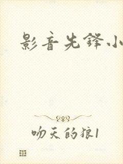 影音先锋小说封面
