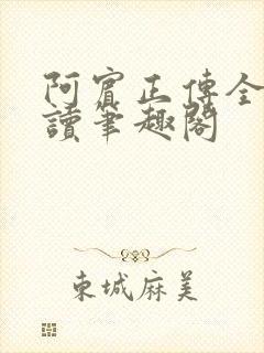阿宾正传全文阅读笔趣阁