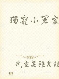 独宠小冤家封面