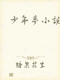少年梦小说