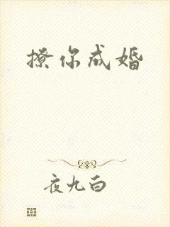 撩你成婚封面