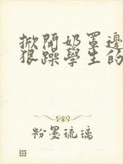 掀开奶罩边躁狠狠躁学生的小文字