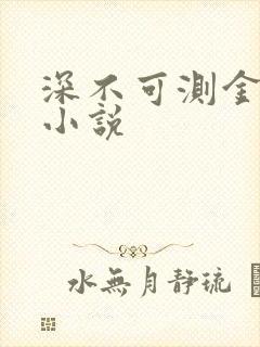 深不可测金银花小说