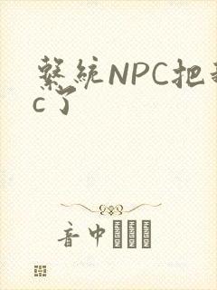 系统NPC把我c了
