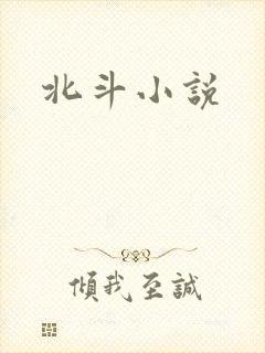 北斗小说封面