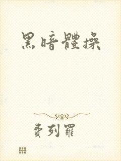 黑暗体操封面
