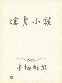 沧月小说封面