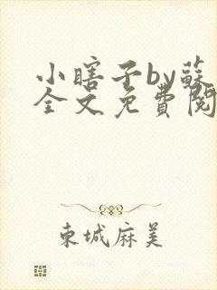 小瞎子by苏软全文免费阅读