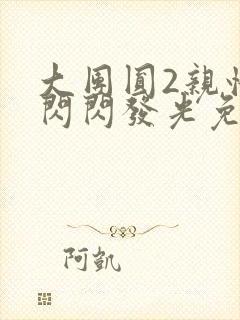 大团圆2亲情会闪闪发光免费封面