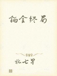 铂金终局封面