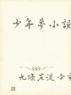 少年梦小说