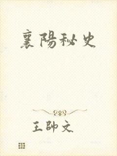 襄阳秘史
