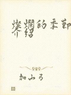 灿烂的季节剧情介绍
