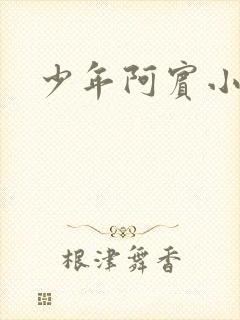 少年阿宾小说