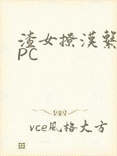 渣女撩汉系统NPC