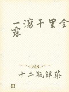 一泻千里金银花露封面