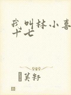 我叫林小喜今年十七