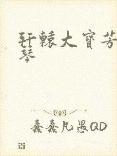 轩辕大宝芳菲雅琴