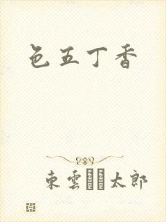 色五丁香封面