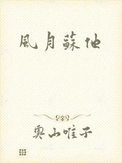 风月苏他