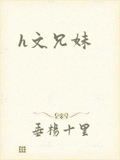 h文兄妹封面