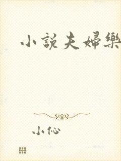 小说夫妇乐园封面