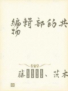 编辑部的共享玩物封面