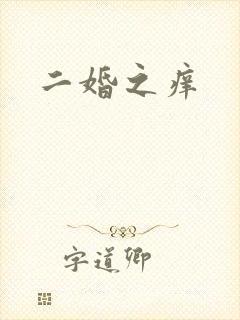 二婚之痒封面