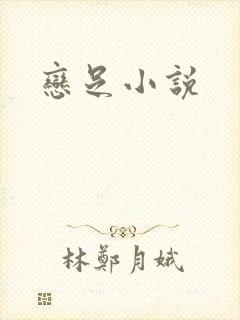 恋足小说
