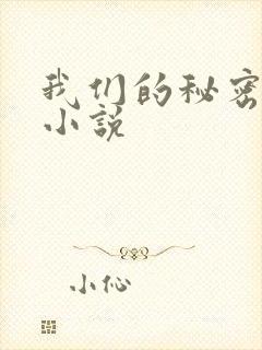 我们的秘密泰剧小说封面