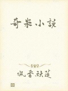 奇米小说封面