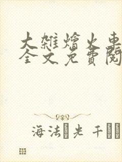大杂烩火车小说全文免费阅读封面