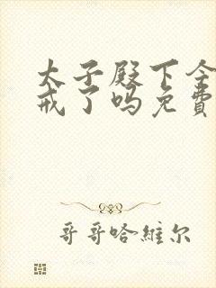 太子殿下今天破戒了吗免费阅读