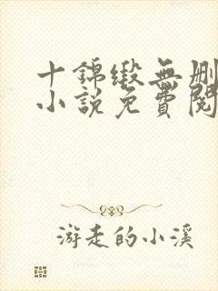 十锦缎无删原著小说免费阅读
