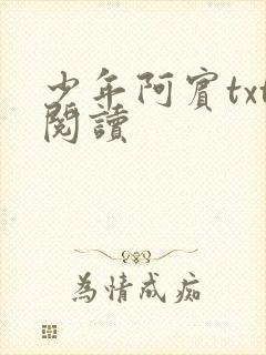 少年阿宾txt阅读