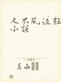 人不风流枉少年小说封面