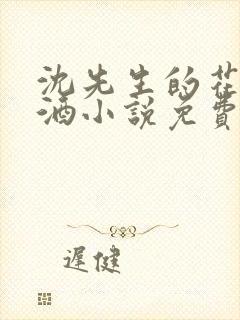 沈先生的花式调酒小说免费阅读