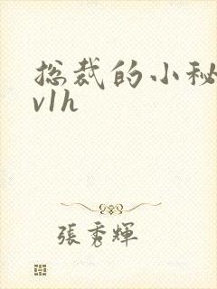 总裁的小秘书1v1h