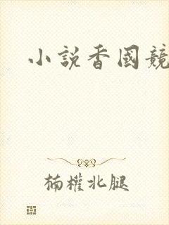 小说香国竞艳