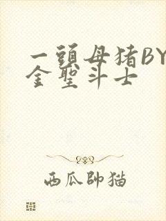 一头母猪BY黄金圣斗士