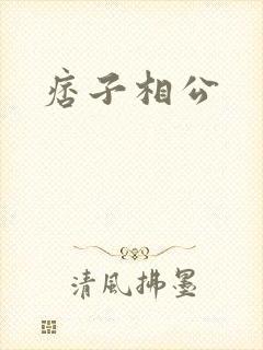 痞子相公封面