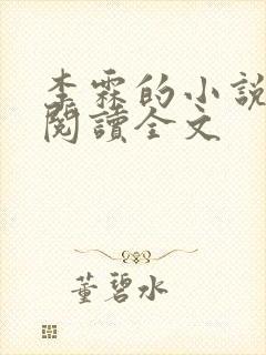 李霖的小说免费阅读全文