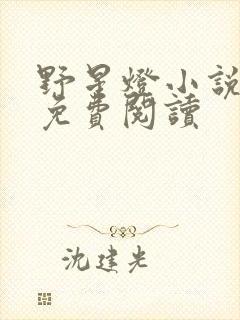 野星灯小说全文免费阅读封面
