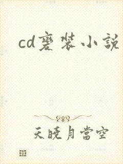 cd变装小说