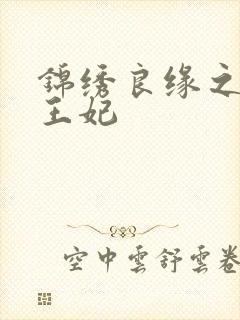 锦绣良缘之北地王妃