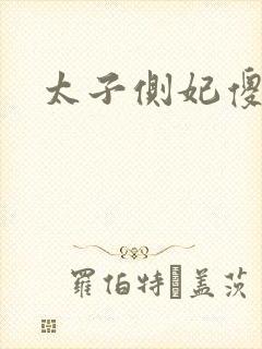 太子侧妃傻乎乎