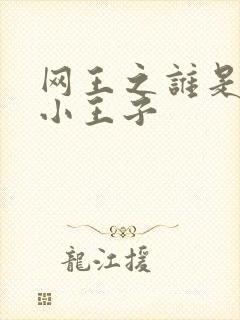 网王之谁是我的小王子