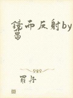 镜面反射by九葛封面