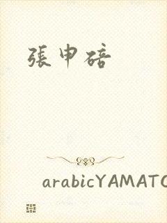 张申碚