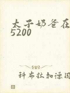太子奶爸在花都5200